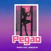 About Pegao Song