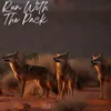Run With The Pack (Coyotes Anthem)