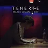 About Tenerte Song