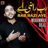 About Rab Razi Aye Song