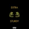 EXTRA STURDY