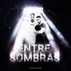 About Entre Sombras Song