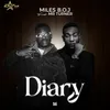 About Diary Song