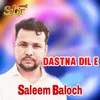 About Dastna Dil E Song