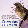 Silueta Porteña