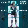 About Future Faking Song
