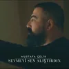 About Sevmeyi Sen Alıştırdın Song