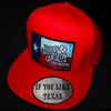 If You Like Texas