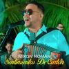 About Sentimientos De Cartón Song