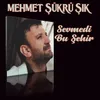 Sevmedi Bu Şehir