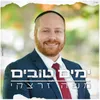 About ימים טובים Song