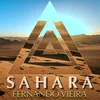 About Sahara Song