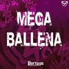 Mega Ballena