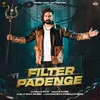 About Filter Padenge Song