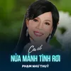 Nửa Mảnh Tình Rơi