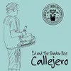 About Callejero Song