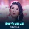 About Tình Yêu Vụt Mất Song