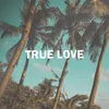 About True Love Song