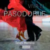 About Viva el Pasodoble Song