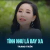 About Tình Như Lá Bay Xa Song