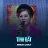 Tình Đất