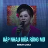 Gặp Nhau Giữa Rừng Mơ