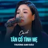 About Tân Cổ Tình Mẹ Song