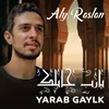 About Yarab Gaylk Song