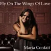 About Fly on the Wings of Love Song