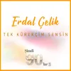 About Tek Kürekçim Sensin Song