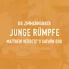 About Junge Rümpfe Song