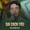 Sai Cách Yêu