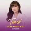 About Tân Cổ Canh Ngoại Nấu Song