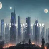 About מרגיש כמו שיכור Song