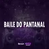 About BAILE DO PANTANAL Song