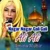 Nagar Nagar Gali Gali Ali Ali