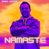 About Namaste Song