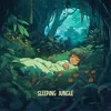 About sleeping jungle Song