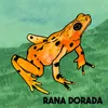 Rana Dorada