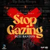 About Stop Gazing Song