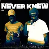 About Never Knew Song