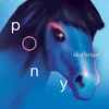 About Pony Song