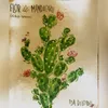 Flor de Mandacaru