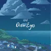 About Ocean Eyes Song