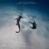 swim among sharks