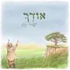 About אודך Song