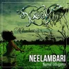 About Neelambari Song