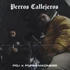 About Perros Callejeros Song