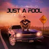 About Just A Fool Song