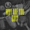 About WHY Are You Gay? Song